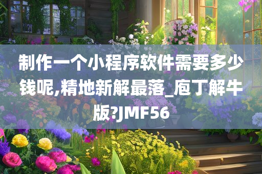 制作一个小程序软件需要多少钱呢,精地新解最落_庖丁解牛版?JMF56