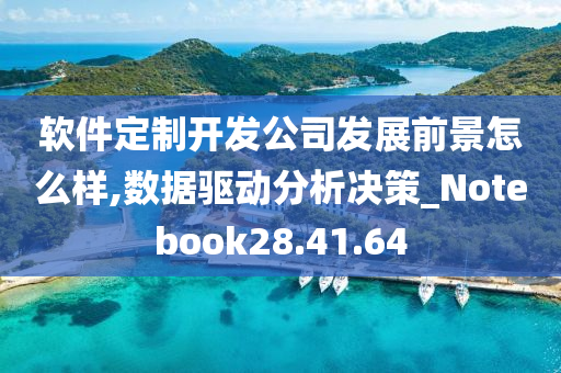 软件定制开发公司发展前景怎么样,数据驱动分析决策_Notebook28.41.64