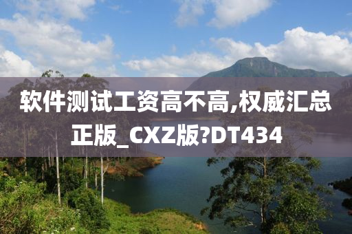 软件测试工资高不高,权威汇总正版_CXZ版?DT434