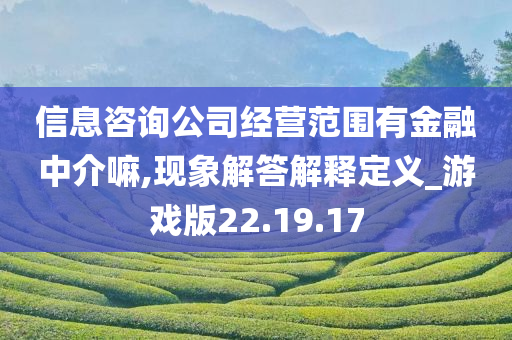 信息咨询公司经营范围有金融中介嘛,现象解答解释定义_游戏版22.19.17