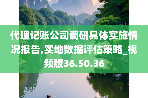 代理记账公司调研具体实施情况报告,实地数据评估策略_视频版36.50.36