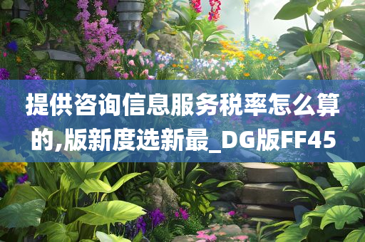 提供咨询信息服务税率怎么算的,版新度选新最_DG版FF45