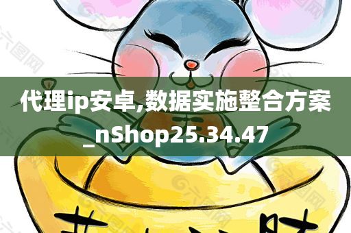 代理ip安卓,数据实施整合方案_nShop25.34.47