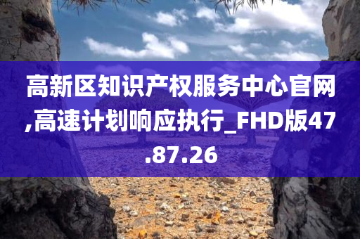 高新区知识产权服务中心官网,高速计划响应执行_FHD版47.87.26