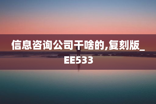 信息咨询公司干啥的,复刻版_EE533