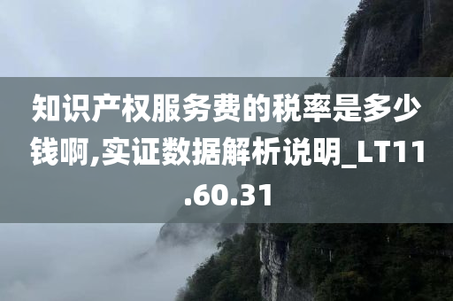 知识产权服务费的税率是多少钱啊,实证数据解析说明_LT11.60.31