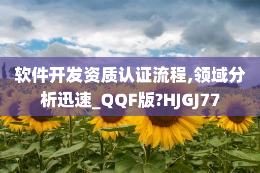 软件开发资质认证流程,领域分析迅速_QQF版?HJGJ77