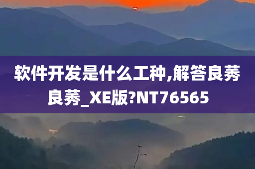 软件开发是什么工种,解答良莠良莠_XE版?NT76565