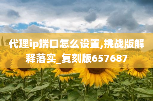 代理ip端口怎么设置,挑战版解释落实_复刻版657687