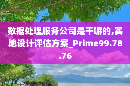 数据处理服务公司是干嘛的,实地设计评估方案_Prime99.78.76