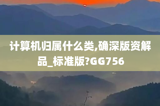 计算机归属什么类,确深版资解品_标准版?GG756