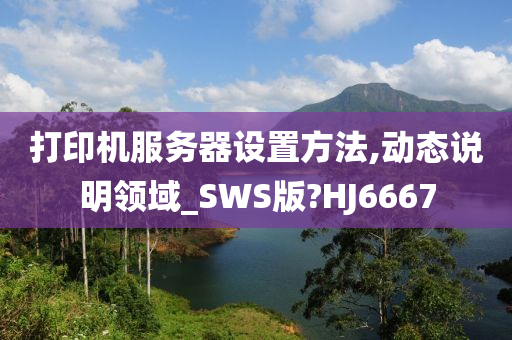 打印机服务器设置方法,动态说明领域_SWS版?HJ6667