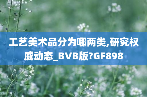 工艺美术品分为哪两类,研究权威动态_BVB版?GF898